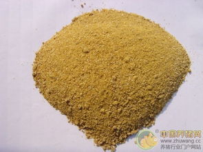 中韓自貿(mào)協(xié)定助力中國(guó)農(nóng)產(chǎn)品出口，飼料行業(yè)迎來(lái)新機(jī)遇