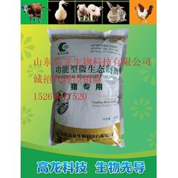 泰安市泥鰍養殖 批發、供應與飼料一體化發展