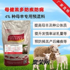 養母羊用什么飼料？母羊營養飼料全解析
