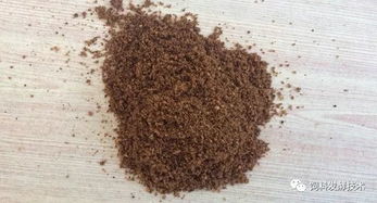 發酵飼料生產的多樣化原料選擇