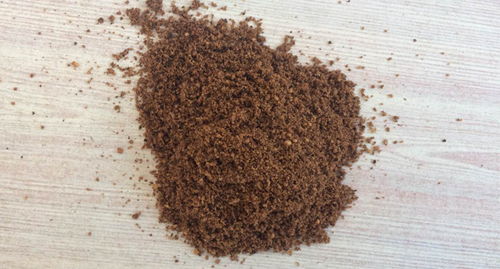 酒糟飼料發酵技術 變廢為寶，提升養殖效益