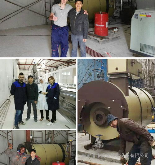 臥式智能化免檢驗燃氣蒸汽鍋爐 價格與選購指南